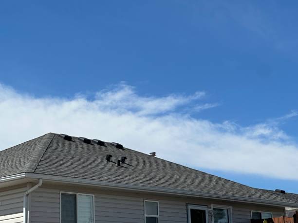 Best Slate Roofing  in Jonesville, MI